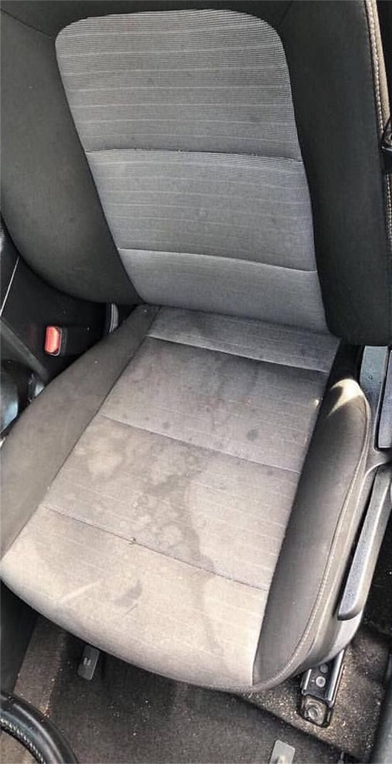 Asiento de coche